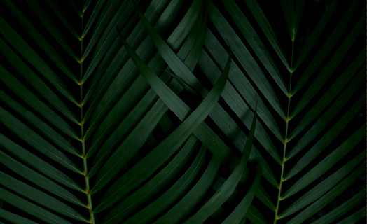 inner_01_02 https://panorama.evaluatepr.com/wp-content/uploads/2020/03/inner_01_02.png